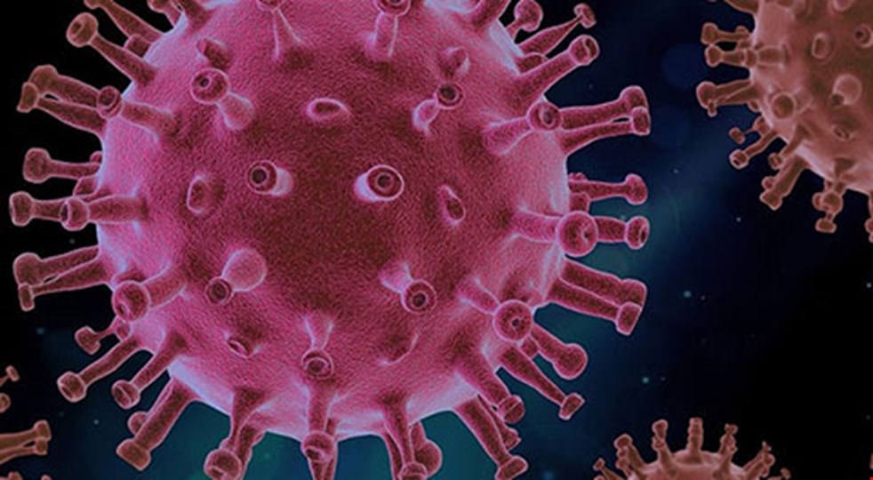 Bild på coronaviruset som är uppförstorat med mikroskop.